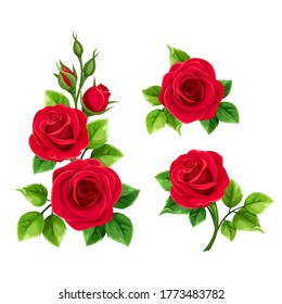 Vector Set Of Red Roses Isolated On A White Background.