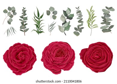 Vector set of red roses and plants. Compositions of plants. Plants and flowers isolated on a white background. Elements for floral design.