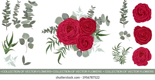 Vector set with red roses and various plants. Red roses, eucalyptus, herbs, various plants and leaves. All elements are isolated.