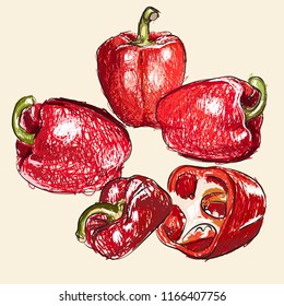 Vector Set of  Red Sweet Bulgarian Bell Peppers,  Vegetable Hand Drawn retro illustration collection set