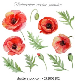 Vector set of red watercolor poppy flowers.