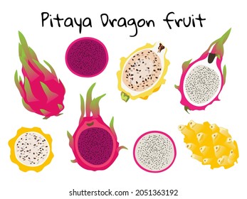 Vector set with red and yellow dragon fruit pitahaya.