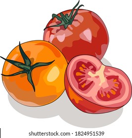 Vector set: red and yellow tomato isolated elements with slice.