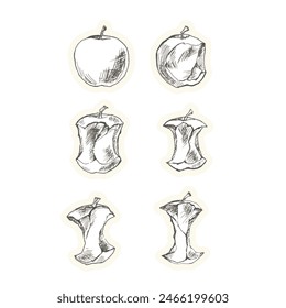 The vector set represents detailed images of apples, made using graphic techniques. Each element is artfully isolated from the background, allowing them to be used for a variety of design projects