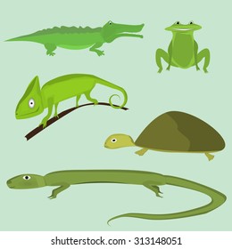 Vector set of reptiles. Lizard, frog, turtle, chameleon, crocodile. Vector illustration.