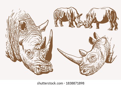 Vektorgrafik-Set von Rhinos, sepischer Hintergrund, Vektorgrafik