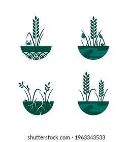 Vector- set of rice pest icon, apple snail, planthopper.