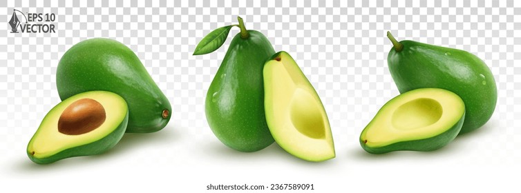 Vector set of ripe avocados. Fresh fruits and pieces. 3D realistic food illustration. Packaging design element