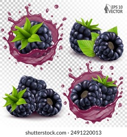 Vector set of ripe blackberries isolated on white background. Realistic transparent juice splash. 3D berry icons for fresh drinks packaging design. Various design options