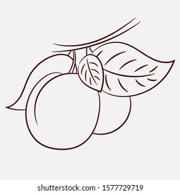 vector set.
ripe fruit. diet product. raw food diet.ecological natural product. 