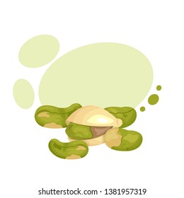 vector set of ripe tasty pistachio nuts