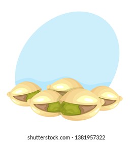vector set of ripe tasty pistachio nuts