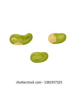 vector set of ripe tasty pistachio nuts