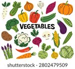 Vector set of ripe vegetables. Garlic, sweet potato, turnip, broccoli, cauliflower, asparagus, celery, radish, yellow and red pepper, zucchini, corn, onion, eggplant, green peas, potatoes, mushrooms and beets. Seasonal healthy vegetables.