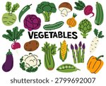 Vector set of ripe vegetables. Turnip, broccoli, cauliflower, asparagus, artichoke, celery, radish, yellow pepper, zucchini, corn, cucumber, onion, eggplant, green peas, potatoes, mushrooms, and beets. Seasonal healthy vegetables