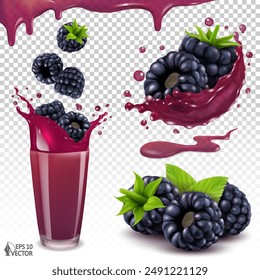 Vector set of ripe wild forest blackberries. Realistic transparent splash. Berries falling into a glass of fresh juice. 3D fruit icons for refreshing drink packaging design