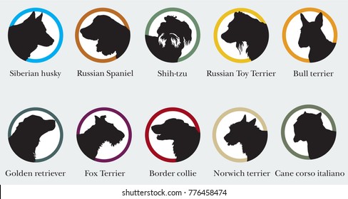 Vector set of ronds with portraits silhouettes of dog breeds. Colorful image 