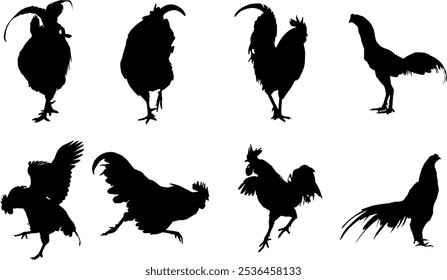 vector set of rooster silhouette icons with transparent background