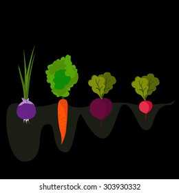Vector set with root vegetables: beets, onions, carrots, radishes