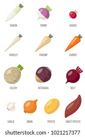 Vector set of root vegetables named. Flat style.