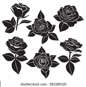 Vector set of Rose buds, stems and leaves with white contour line and silhouettes in black color. Vector illustration for design and tattoo on white background. 