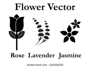 conjunto vectorial de flores de rosa, lavanda y jazmín