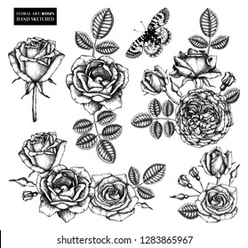 Vector set of roses, flowers, leaves, buds drawings. Floral elements collection. Arrangements. Vintage engraving style. For textiles, wrapping paper designs or wedding decor. Hand drawn illustration.