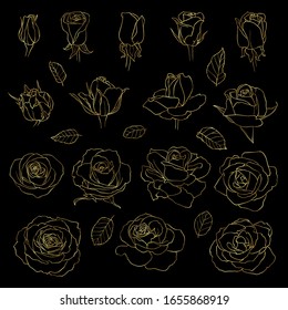 Conjunto vectorial de rosas. Flores doradas dibujadas a mano recortadas sobre fondo negro. Puede usarse para invitaciones de boda y tarjetas de felicitación