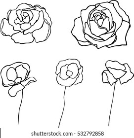 Vector set of roses and poppies isolated on white background