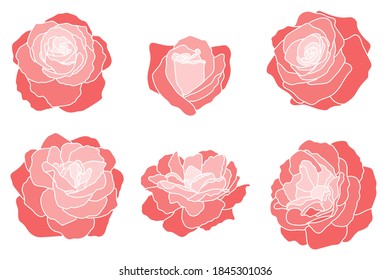 Conjunto vectorial de siluetas de rosas, coloreadas con gradiente. Elementos botánicos dibujados a mano, aislados en fondo blanco