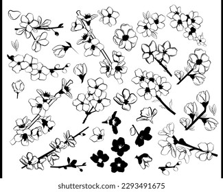 Vector set of sakura flowers and twigs in black and white. Line art.