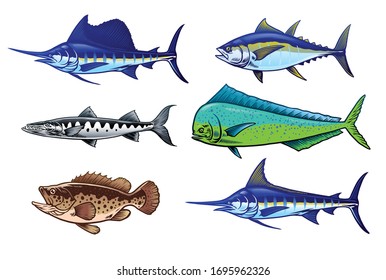 vector of set of saltwater fish