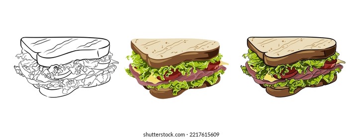 vector set of sandwiches hand drawn, drawing in outline and in color. food vector illustration