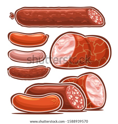Vector set of Sausages, collection of cut out illustrations many types of delicatessen sausages and cartoon frankfurters for hot dog, isolated on white background.