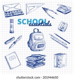 Vector set of school items on a sheet of exercise book. Hand drawn Illustration. Back to School. School essential illustration.