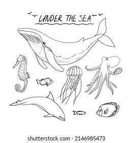Vector set of sea animals. 