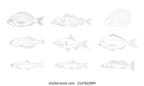 vector set of sea animals