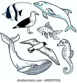 Vector set with sea animals and birds and fish