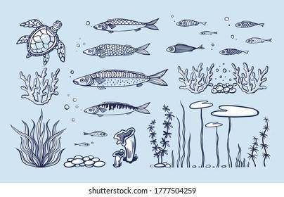 Vector set of sea animals - coral, seaweed, fish, turtle, bubbles and sea pebbles. Flat hand drawn illustration underwater species, marine creatures, sea or ocean flora and fauna. Underwater ocean