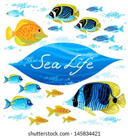 Vector set of sea animals. Elements for design. Collection of items for scrapbooking.