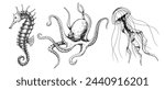 Vector set with Sea Animals. Hand drawn sketch of Seahorse, Jellyfish and Octopus. Illustration with underwater sealife painted by black inks in line art style. Engraving of medusa for icon or logo.