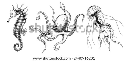 Vector set with Sea Animals. Hand drawn sketch of Seahorse, Jellyfish and Octopus. Illustration with underwater sealife painted by black inks in line art style. Engraving of medusa for icon or logo.