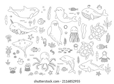 Vector set of sea animals and plants. Black and white outline underwater fishes, seaweeds, corals, arctic animals. Coloring page or book for children.