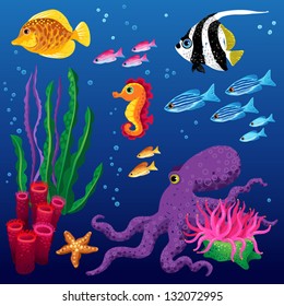 vector set of sea animals and seaweeds