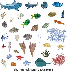 Vector set of sea animals - shark, tropical fish, corals, seahorses, seashells, starfish, stingray, algae.  Underwater ocean creatures isolate on a white background.