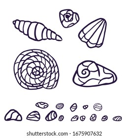 Vector set of sea elements from shells  for design in doodle style hand-drawn  isolated on white background.