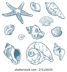 Vector set of sea fauna isolated background