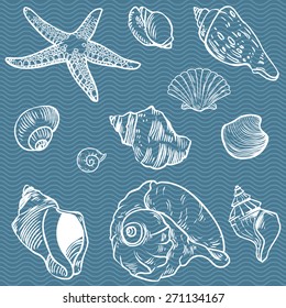 Vector set of sea fauna isolated background