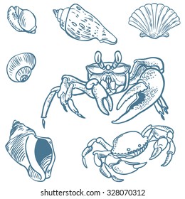 Vector set of sea fauna isolated background