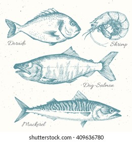 vector set of sea fish menu, shrimp, fish, dorado, mackerel, retro graphic line drawings, isolated object